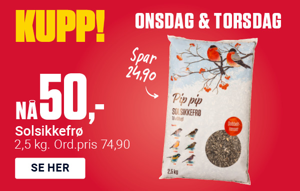 Dagskupp onsdag-torsdag