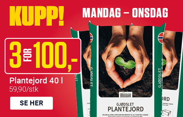 Dagskupp mandag-onsdag