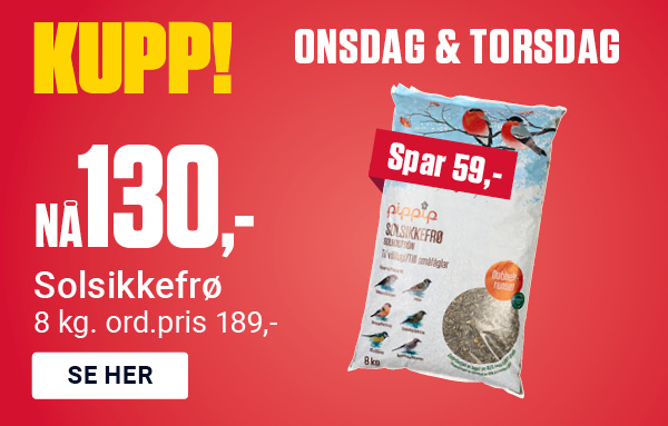 Dagskupp onsdag-torsdag